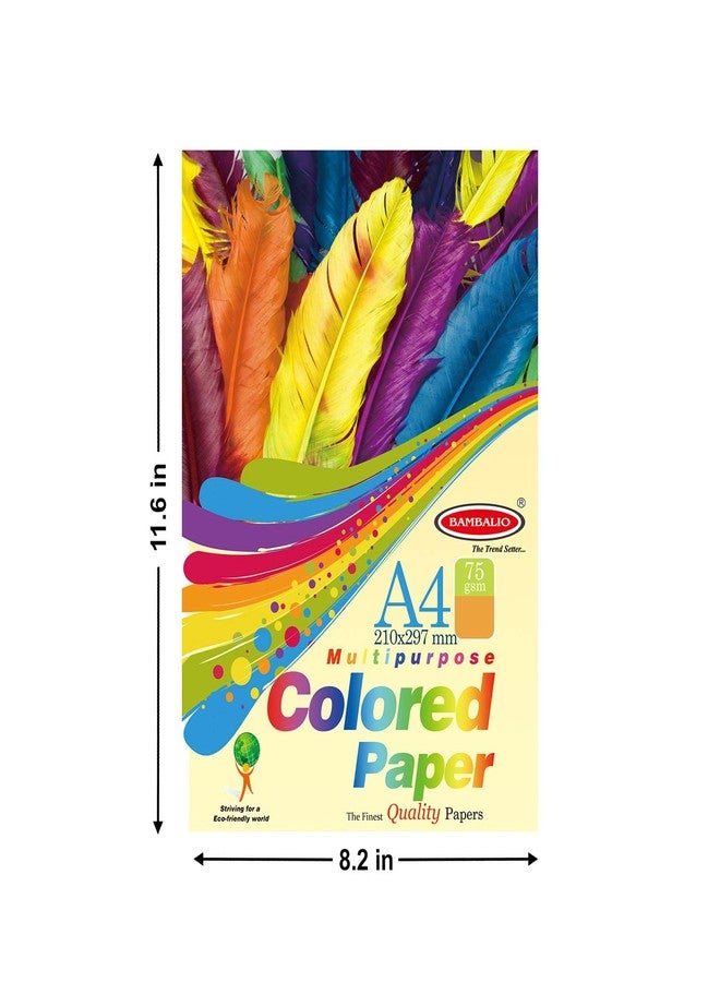 BAMBALIO بامباليو BFP-DRK، عبوة ورق داكن اللون، 200 ورقة / سطح أملس، 75 غرام/متر مربع / مقاس A4: 10 ألوان متنوعة - ورق ملون للأعمال الفنية والحرفية - Image 5